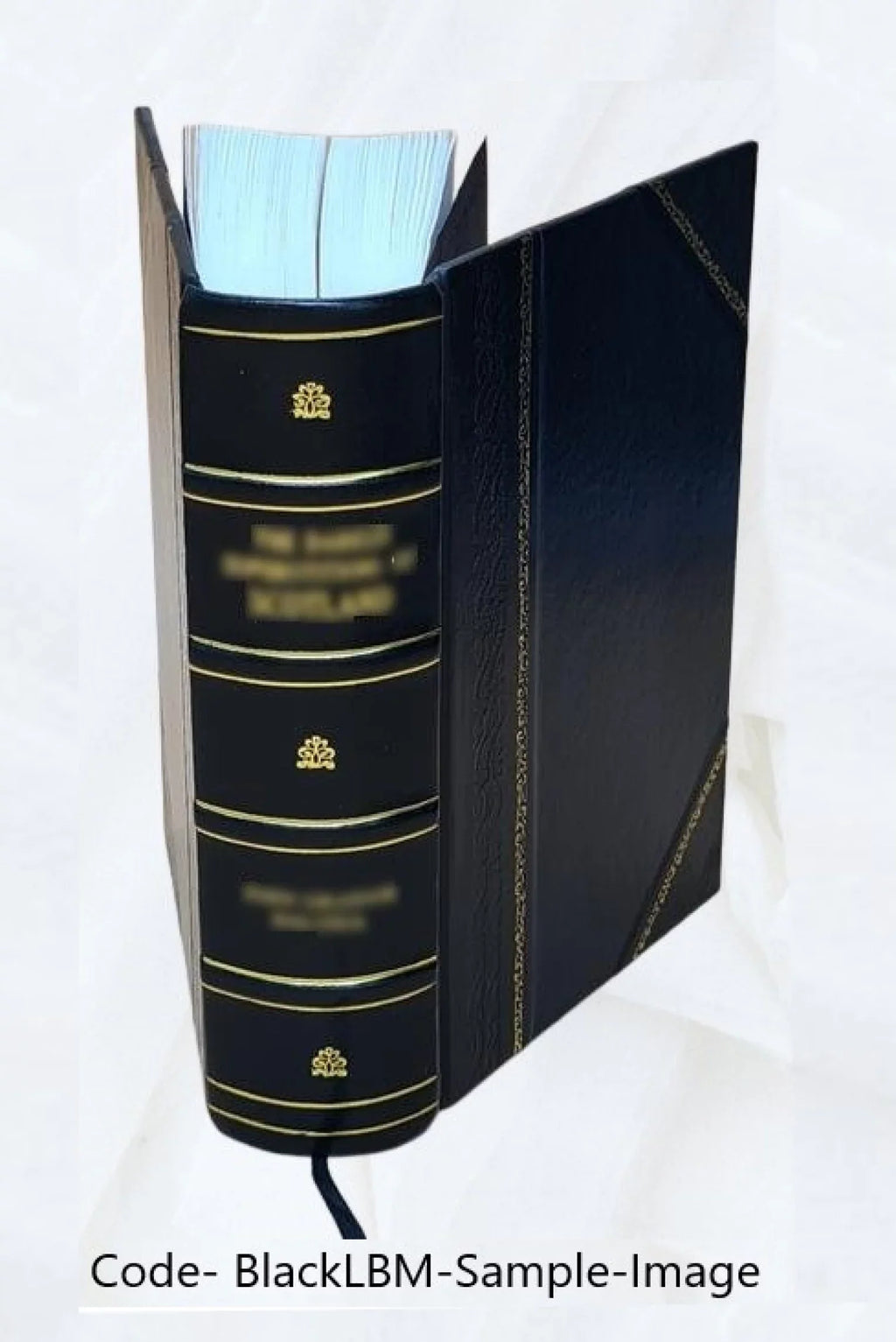 Opera omnia Volume 18 1891 [Leather Bound]