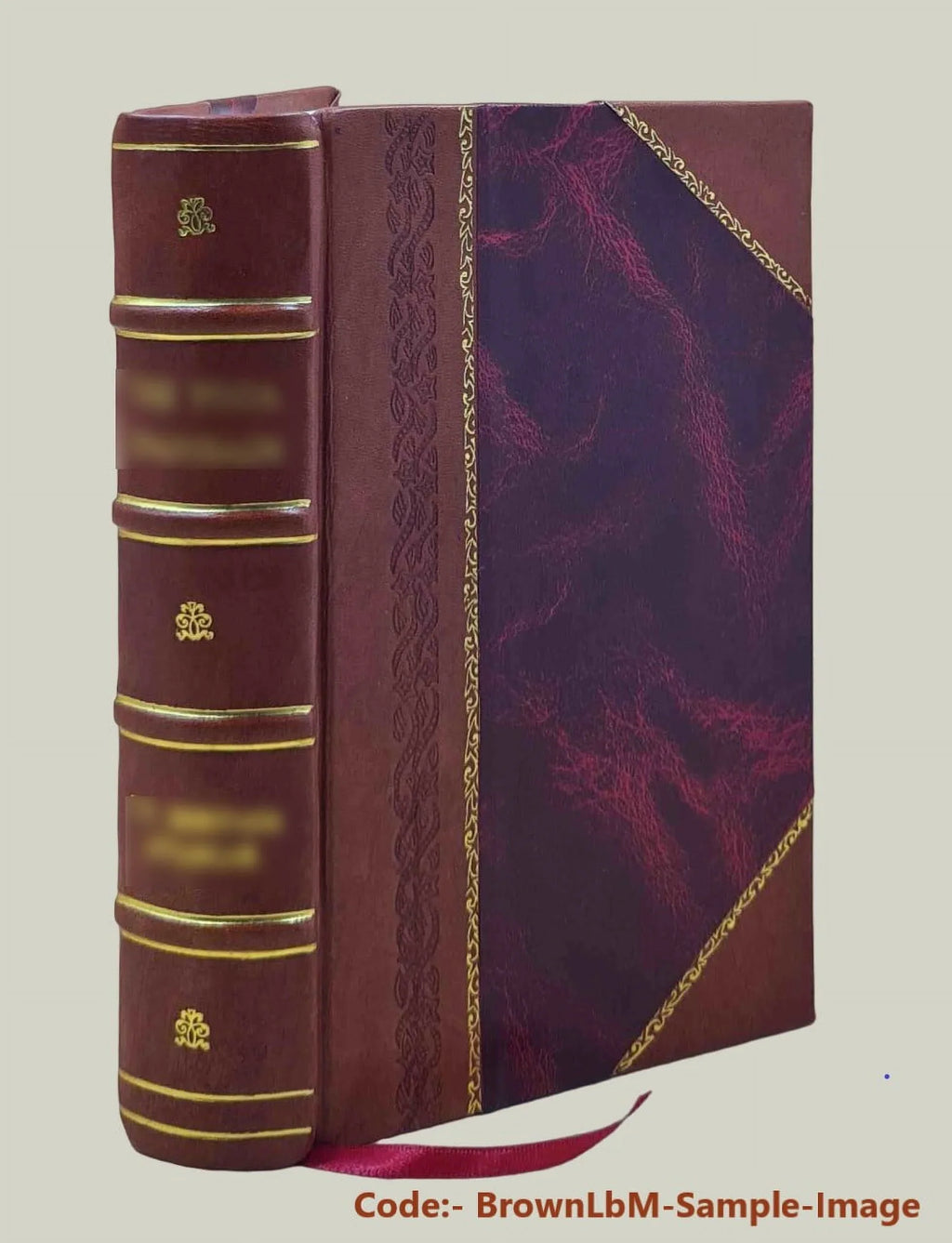 History of Danbury, Conn., 1684-1896 / from notes and manuscript left by James Montgomery Bailey ; compiled with additions by Sizeusan Benedict Hill. 1896 [Leather Bound]