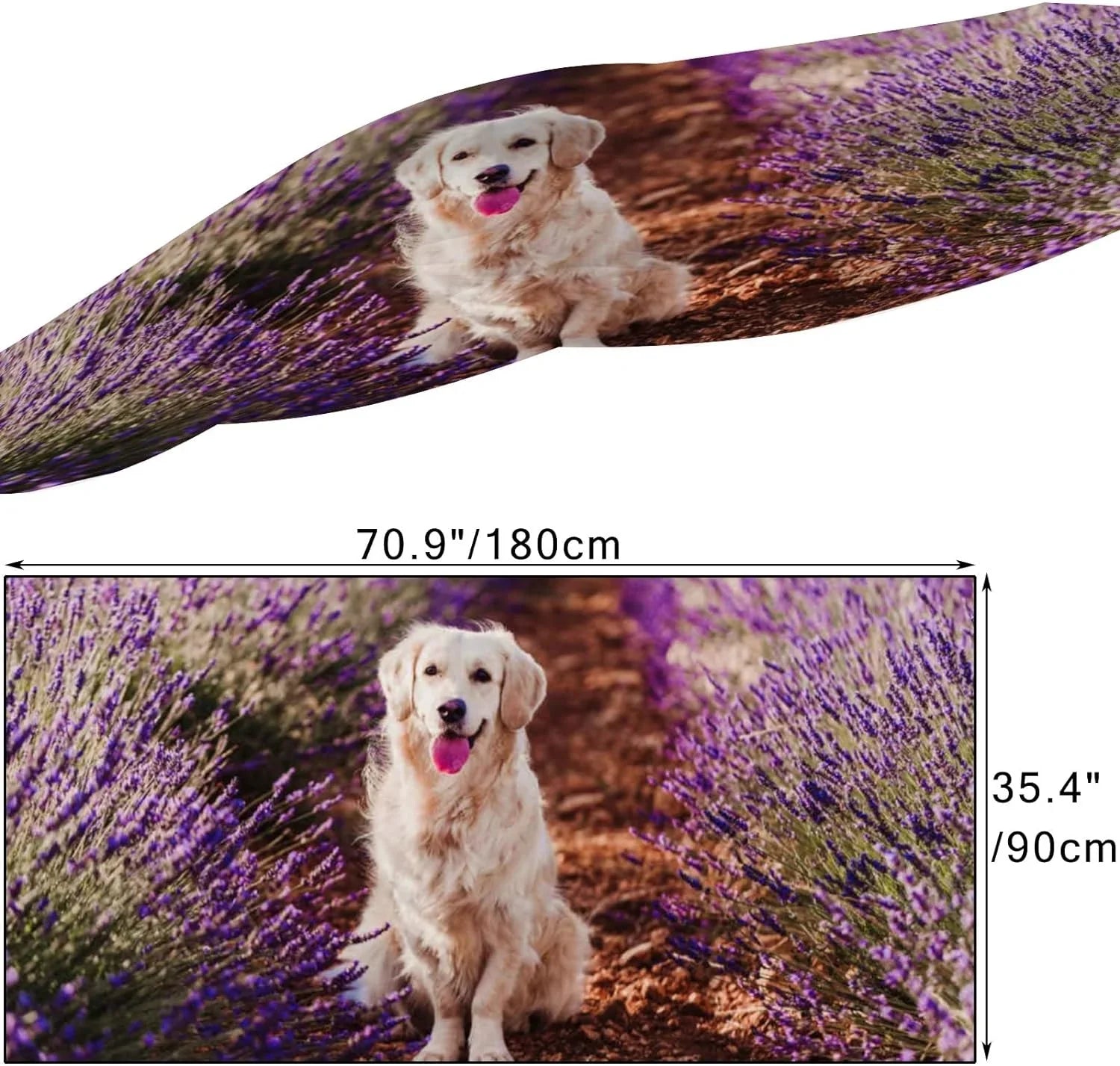 Hyjoy Adorable Golden Retriever Dog in Lavender Field Long Sizeilk Neck Sizecarf Lightweight Sizehawl Wrap Sizecarves for Women Girls