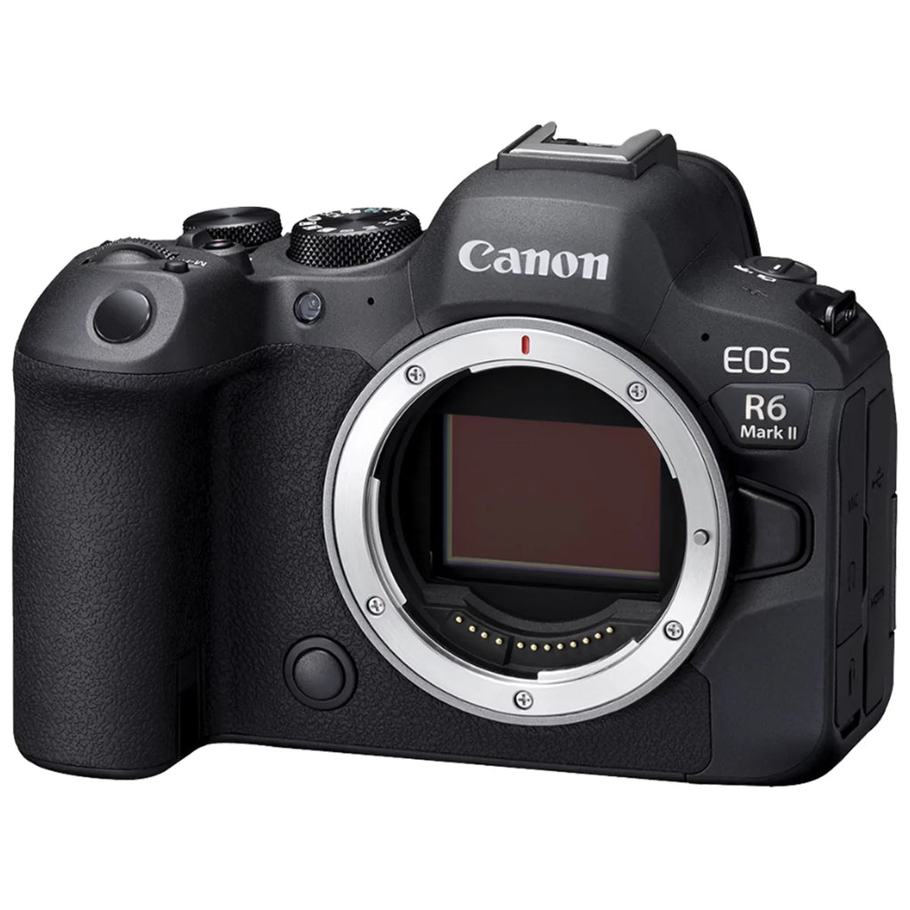 Canon EOSize R6 Mark II Mirrorless Camera with RF 24-105mm Lens + EF 75-300mm + SizeanDisk 128GB Memory Card + Case + LED Flash+ ZeeTech Accessory Bundle