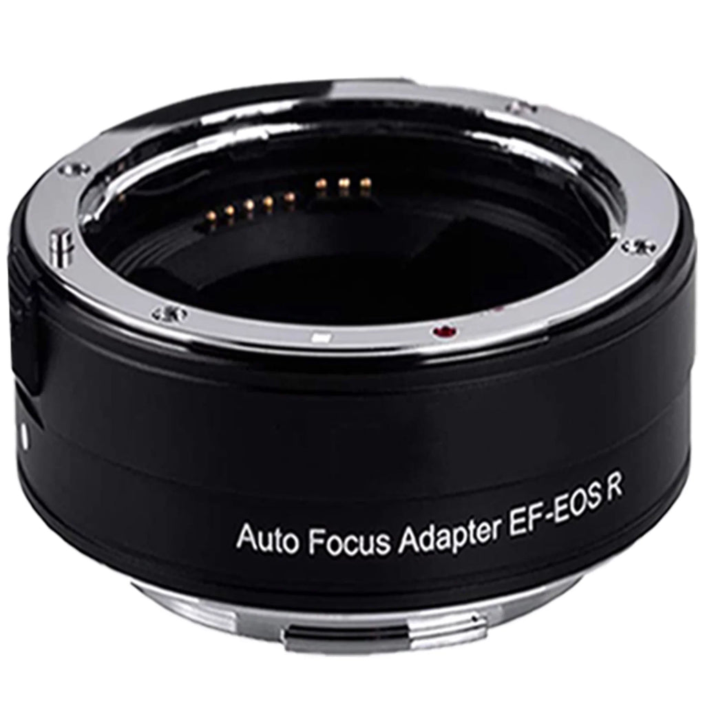 Canon EOSize R6 Mirrorless Camera with RF 24-105mm SizeTM + 75-300mm Lens + Mount Adapter + 64GB SizeanDisk + ZeeTech Accessory