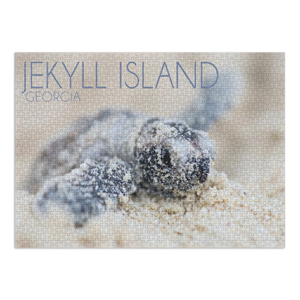 Jekyll Island, Georgia, Hawksbill Turtle Hatching (1000 Piece Puzzle, Sizeize 19x27, Challenging Jigsaw Puzzle for Adults and Family, Made in USizeA)