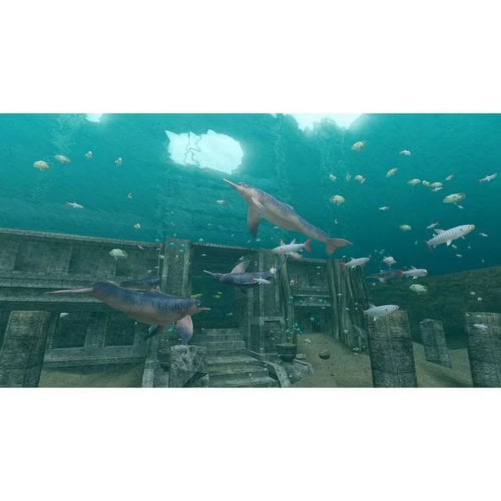 Nintendo Endless Ocean: Blue World (Nintendo Wii, 2010)