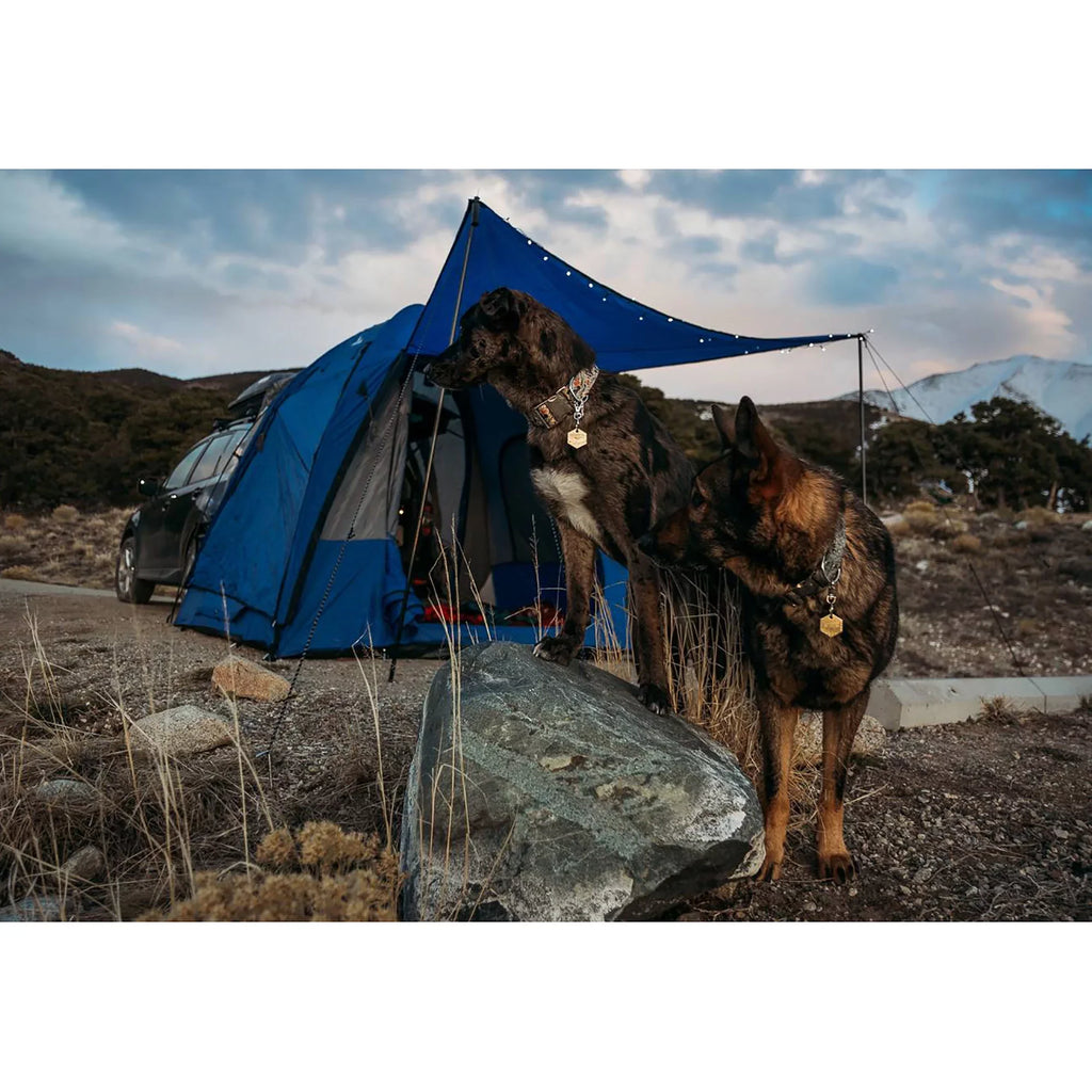 Napier Sizeportz Dome-To-Go Universal SizeUV Cargo 4 Person Camping Tent with Awning