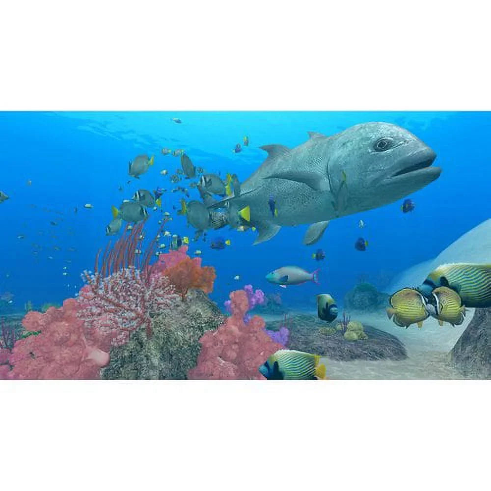 Nintendo Endless Ocean: Blue World (Nintendo Wii, 2010)