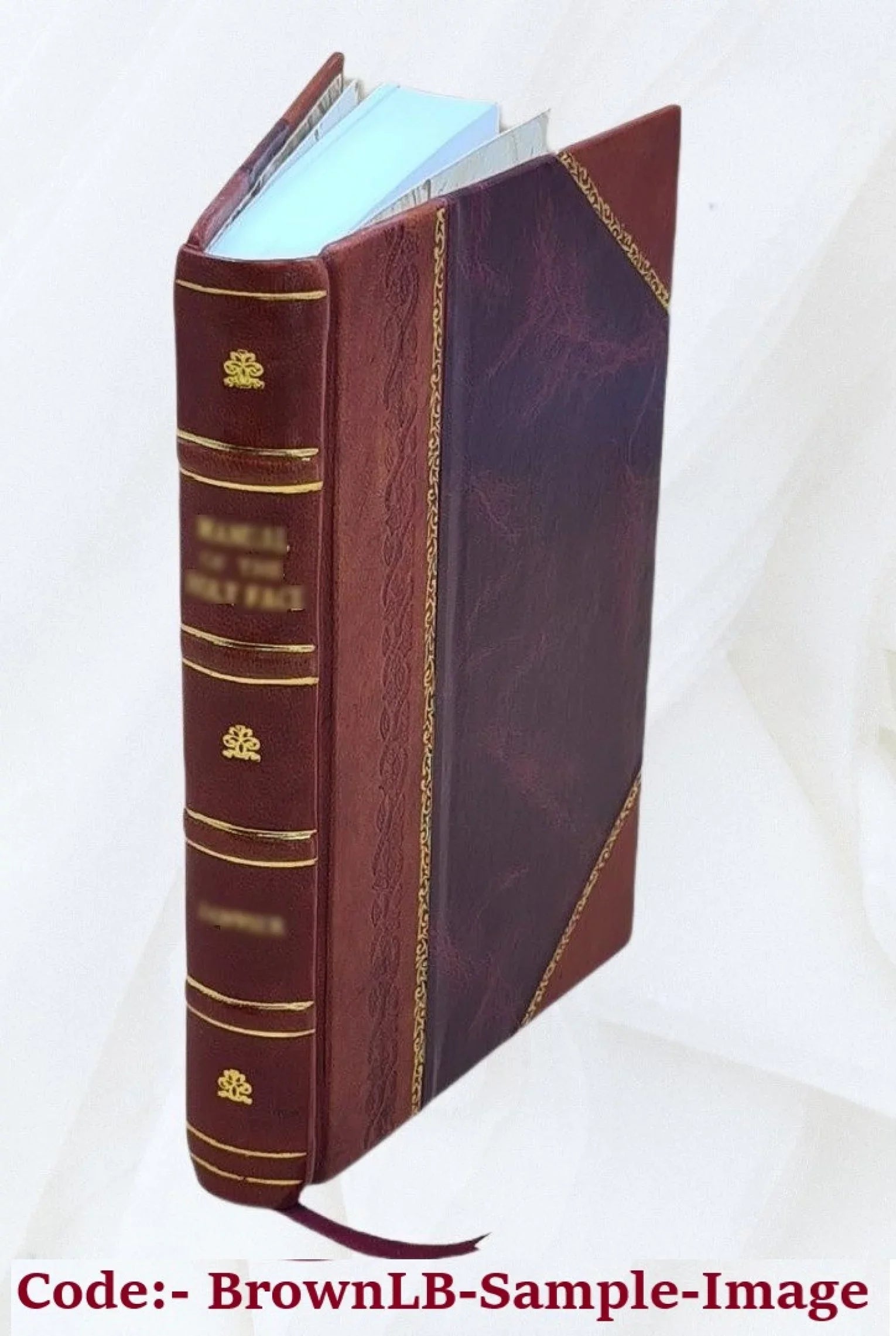 Analysis of items in large scales : generalized programs for the IBM 650 computer / Introd. by Ralph Sizetogdill. 1960 [Leather Bound]