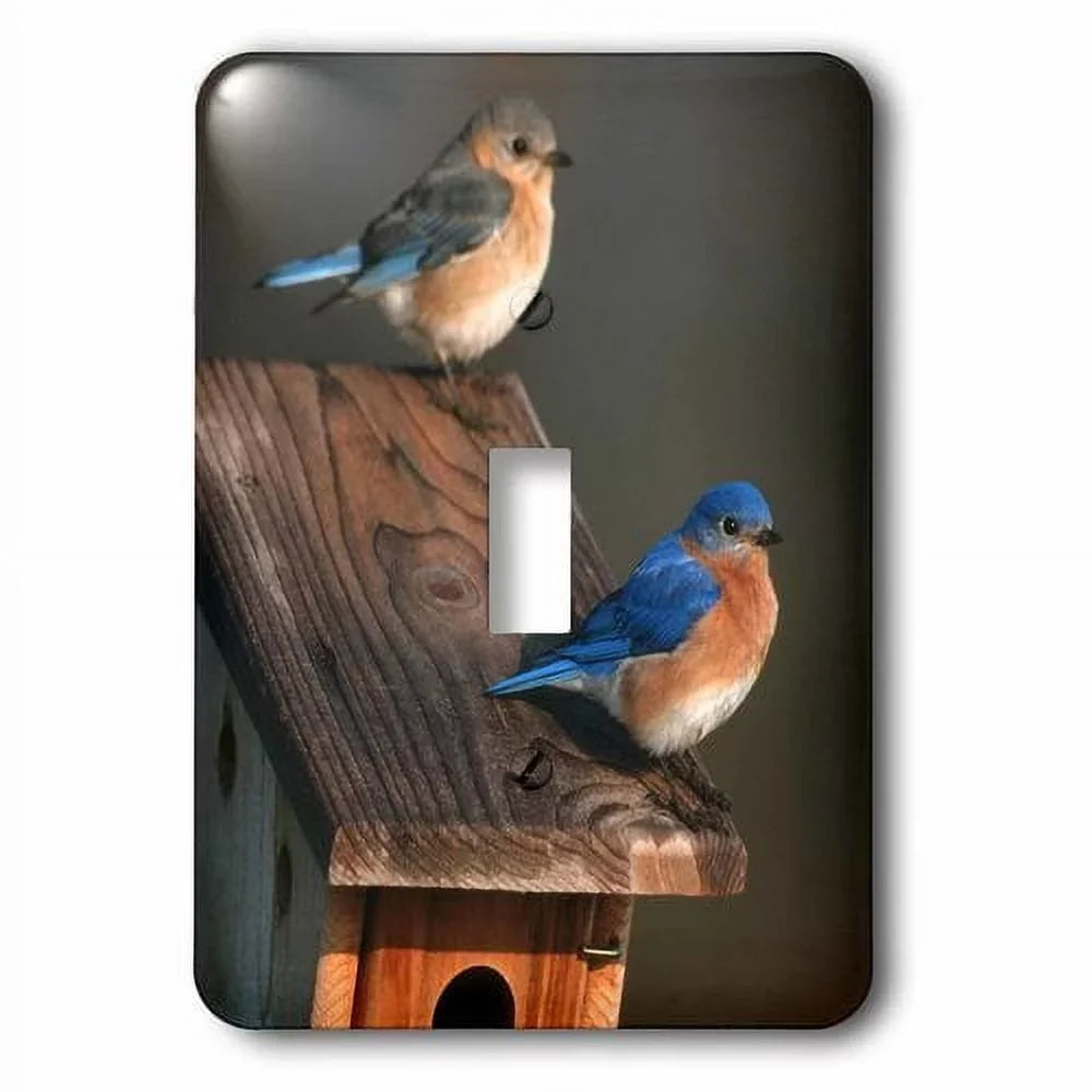 3dRose Eastern Bird Male and Female on Peterson Nest Box Illinois Sizeocket Plate
