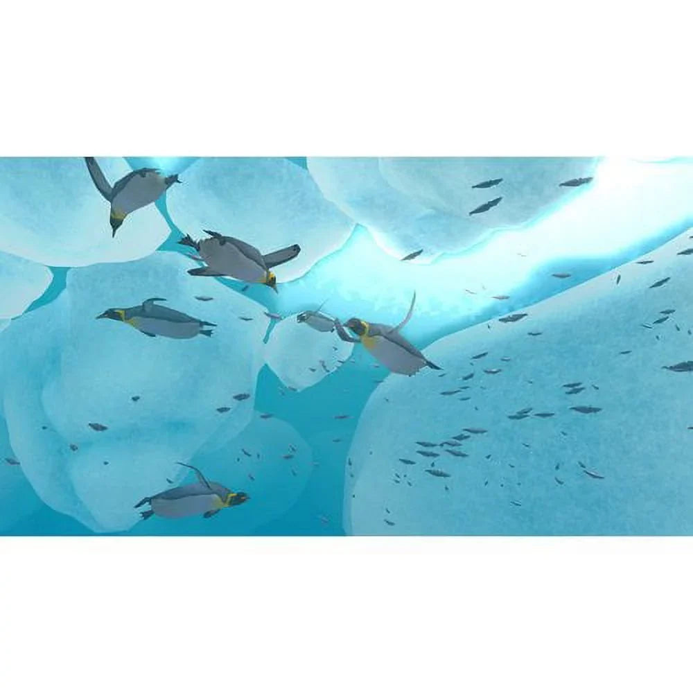 Nintendo Endless Ocean: Blue World (Nintendo Wii, 2010)