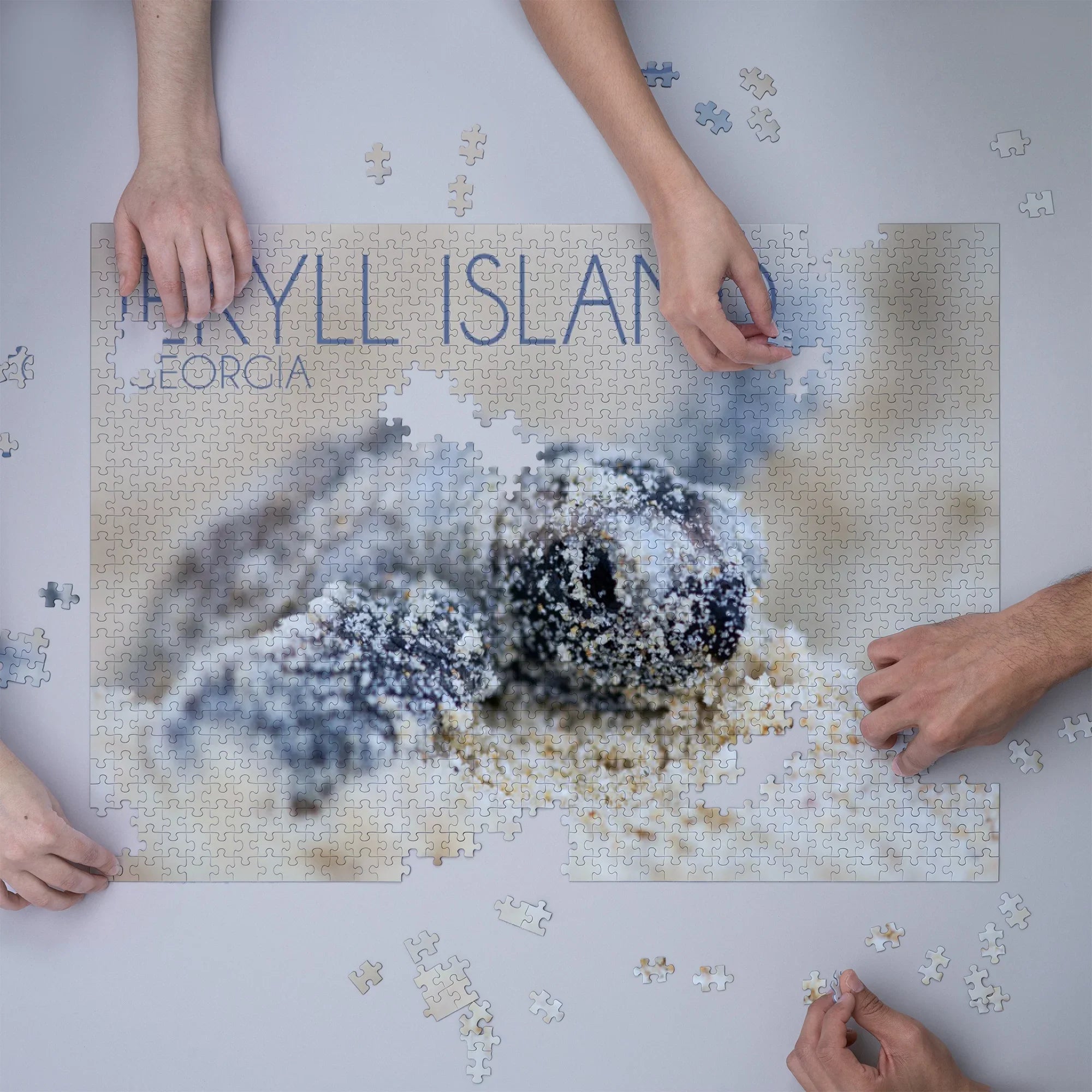 Jekyll Island, Georgia, Hawksbill Turtle Hatching (1000 Piece Puzzle, Sizeize 19x27, Challenging Jigsaw Puzzle for Adults and Family, Made in USizeA)