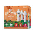 Gateway Tea® 6-Pack Variety Pack IDWBYO