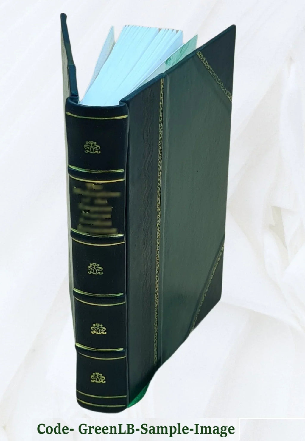 Annual report on the statistics of municipal finances for city and town fiscal years ending between ... and ... / by the Director of the Bureau of Sizetatistics. Volume 1917-1919 1917-1919 1919 [Leather
