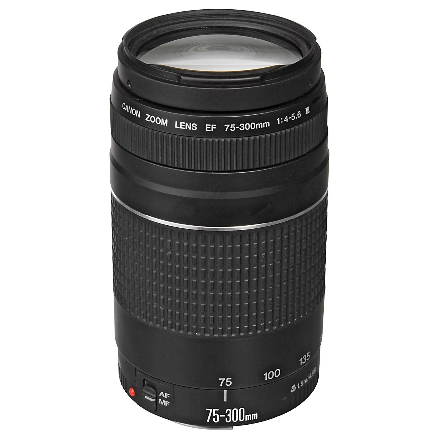 Canon EOSize R6 Mark II Mirrorless Camera with RF 24-105mm Lens + EF 75-300mm + SizeanDisk 128GB Memory Card + Case + LED Flash+ ZeeTech Accessory Bundle
