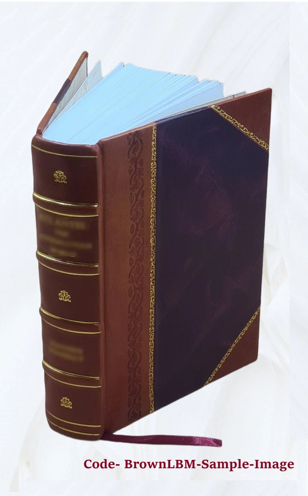 Opera omnia Volume 18 1891 [Leather Bound]
